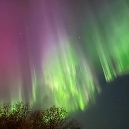 Privatunterkunft Luxury On A Budget With A Secret Aurora Spot Leknes